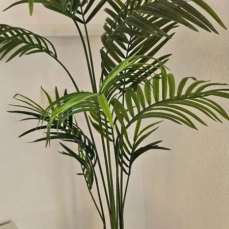 Apartamento Gemuetliche Direkt In